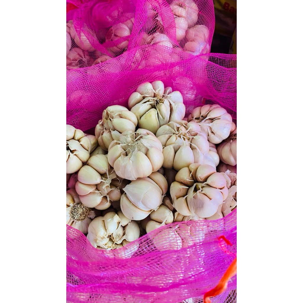 

bawang sinco bersih premium