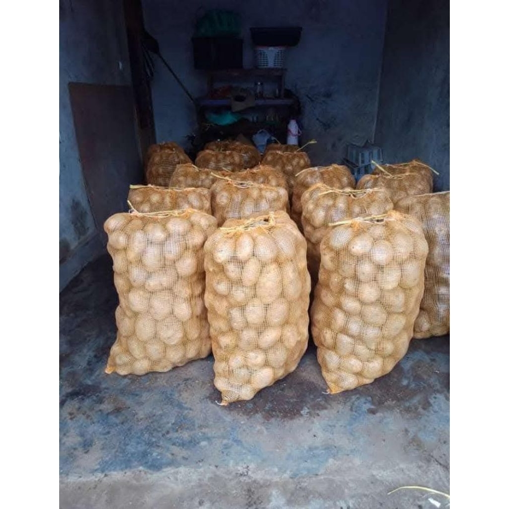 

kentang besar kecil per 550 gram