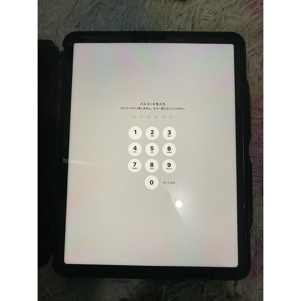 IPAD PRO 12.9icn GEN 5th Wifi Lock icloud passcode