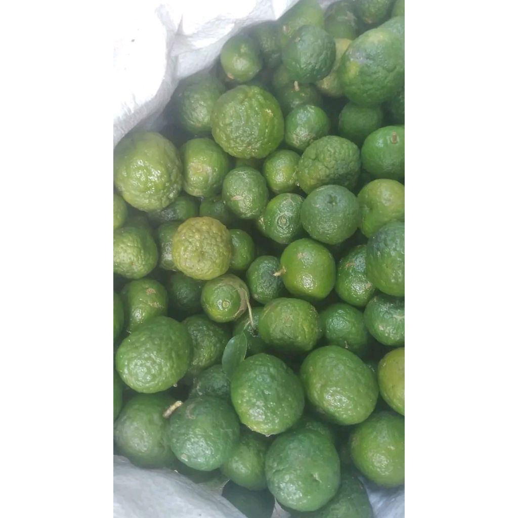 

jeruk limau/ jeruksambal