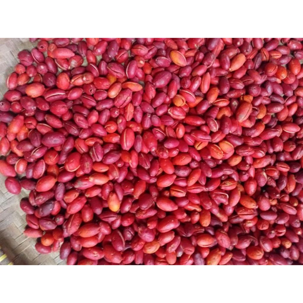 

Kulit Melinjo Super frees 1kg