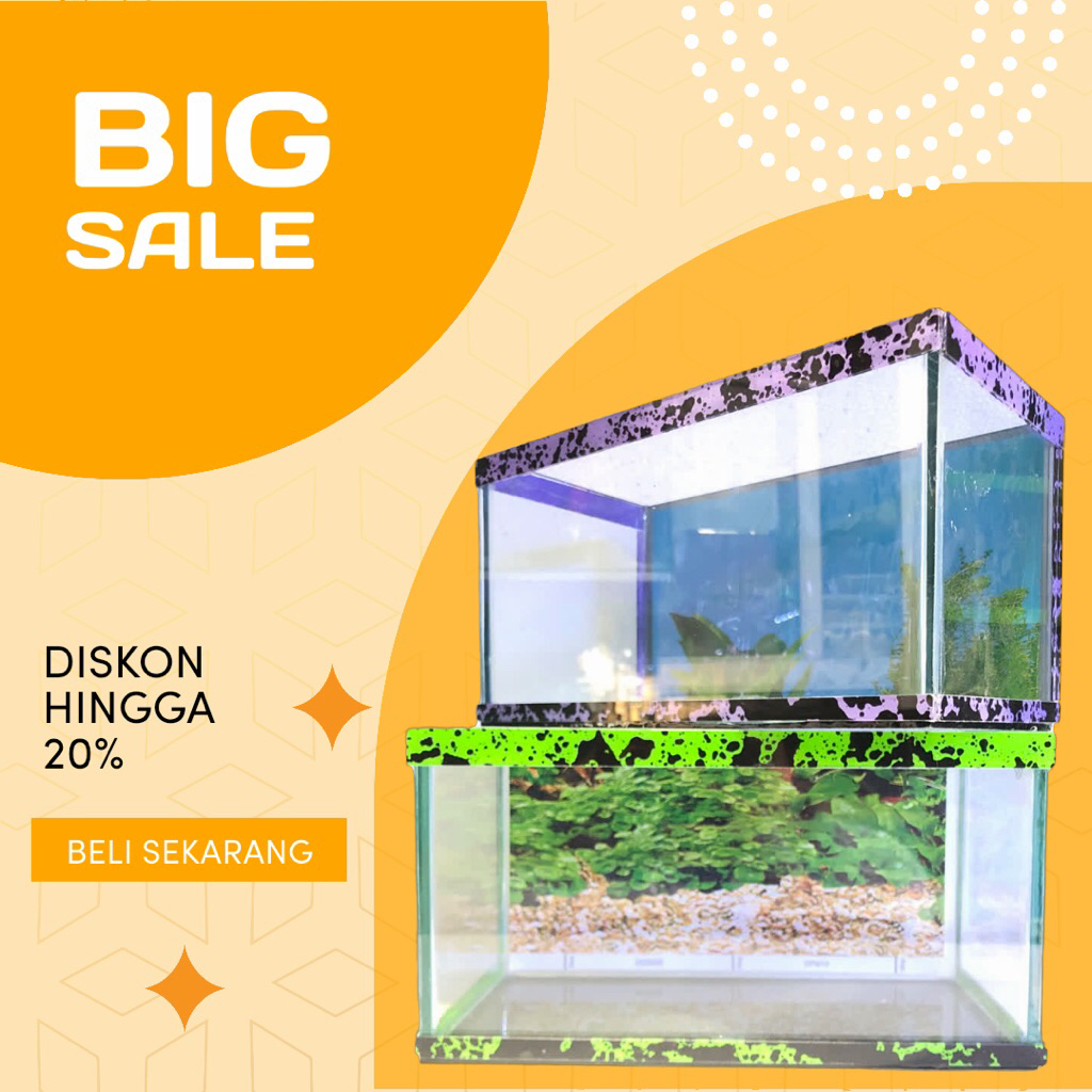 Aquarium minimalis untuk ikan cupang atau babychana