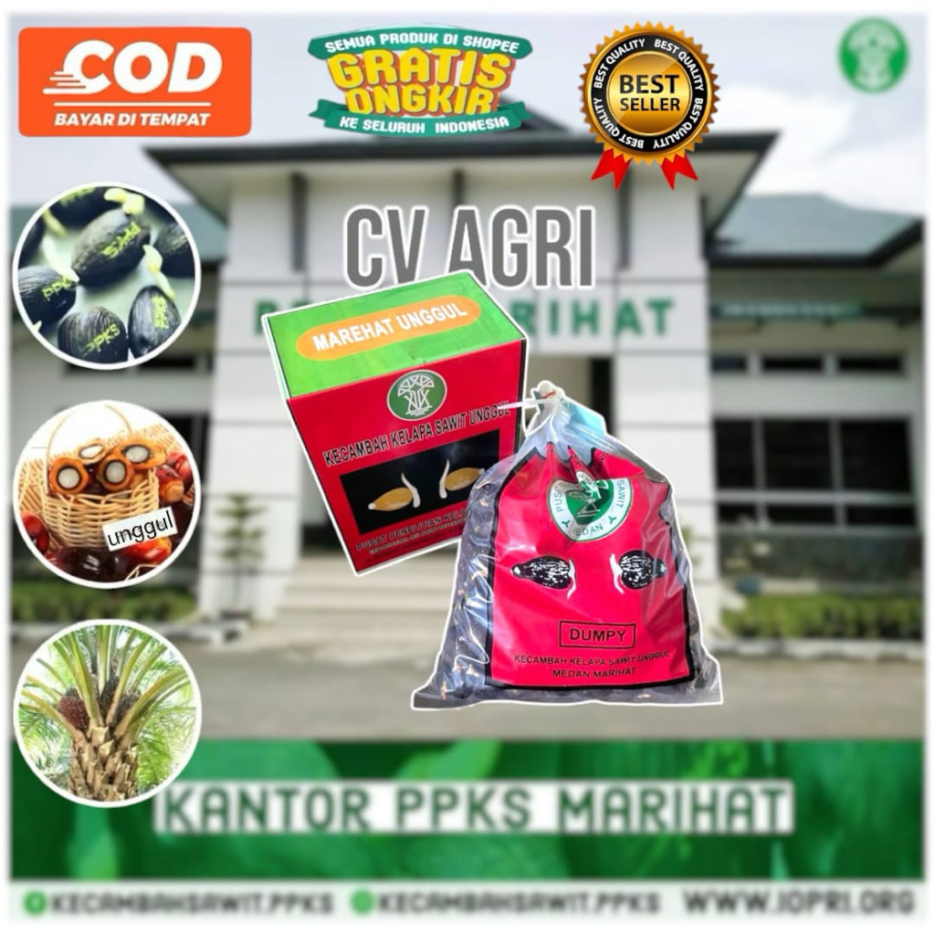 KECAMBAH PPKS MEDAN UNGGUL BERSERTIFIKAT