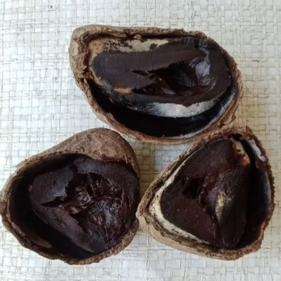 

Kluwek HITAM Kluwak Bumbu Masakan Rawon 1Kg Pucung Picung Kepayang Termurah COD Fresh