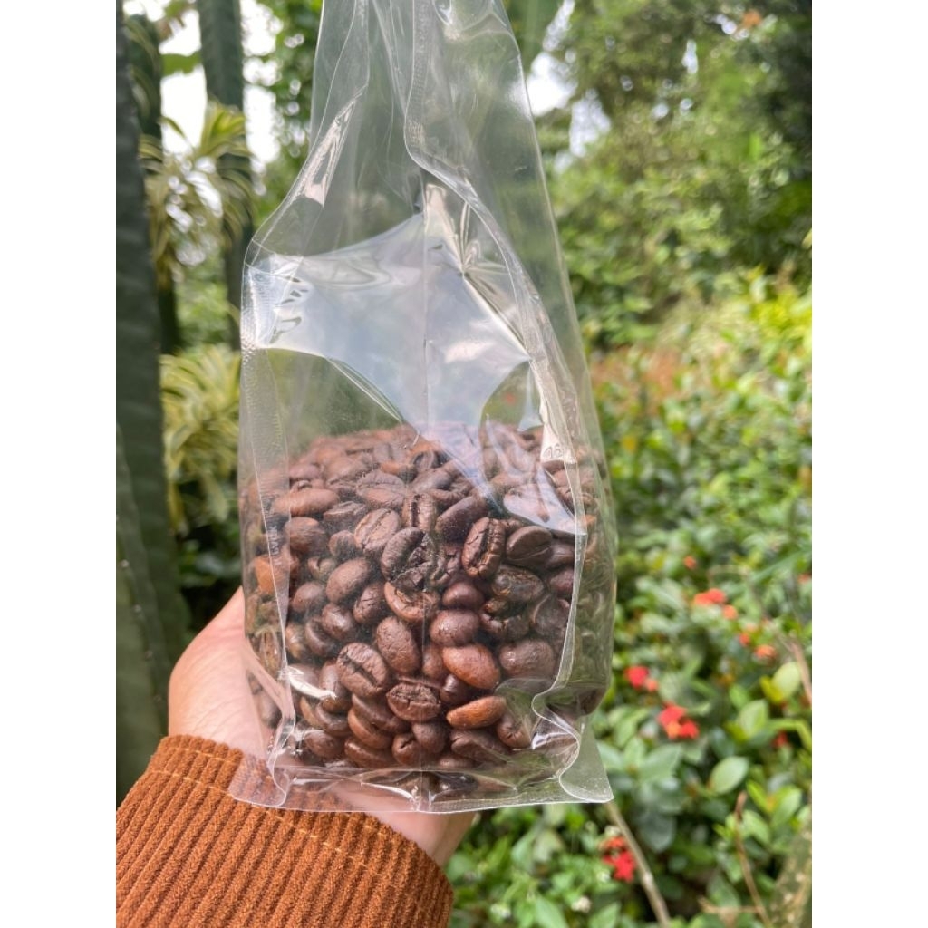 

Biji Kopi Asli Robusta Arjuno Roasting Medium 200gram Begawan Ringgit