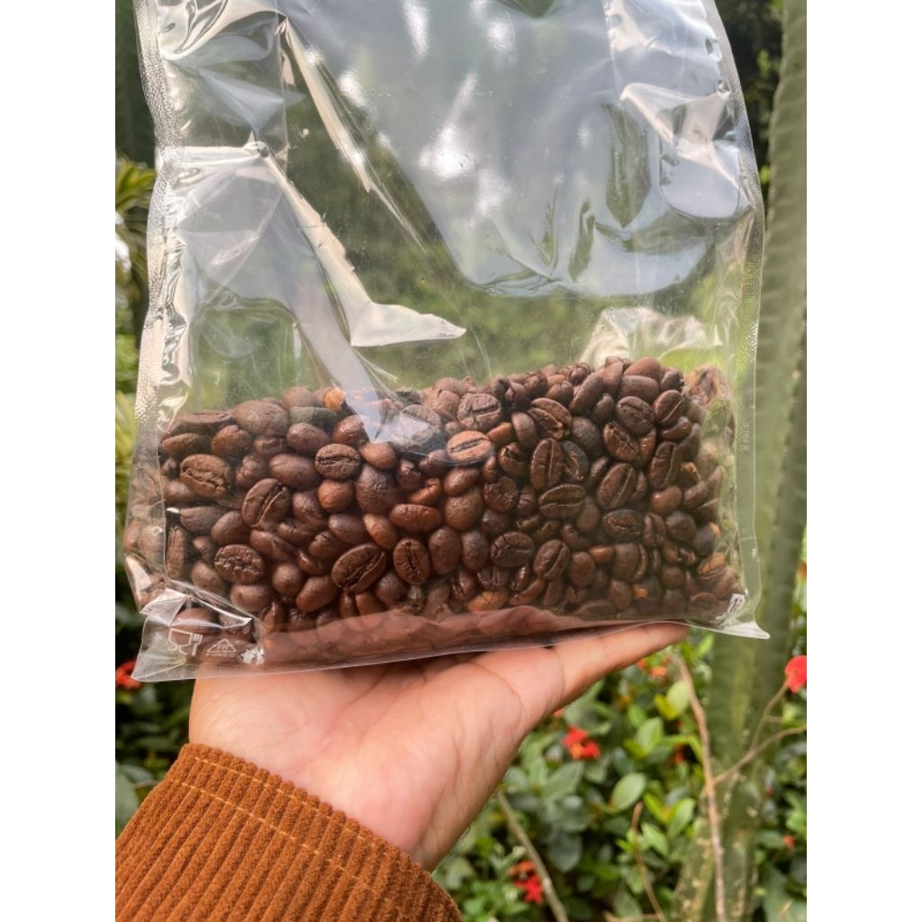 

BIJI KOPI 100% FULL ROBUSTA Comercial Based By Begawan Ringgit
