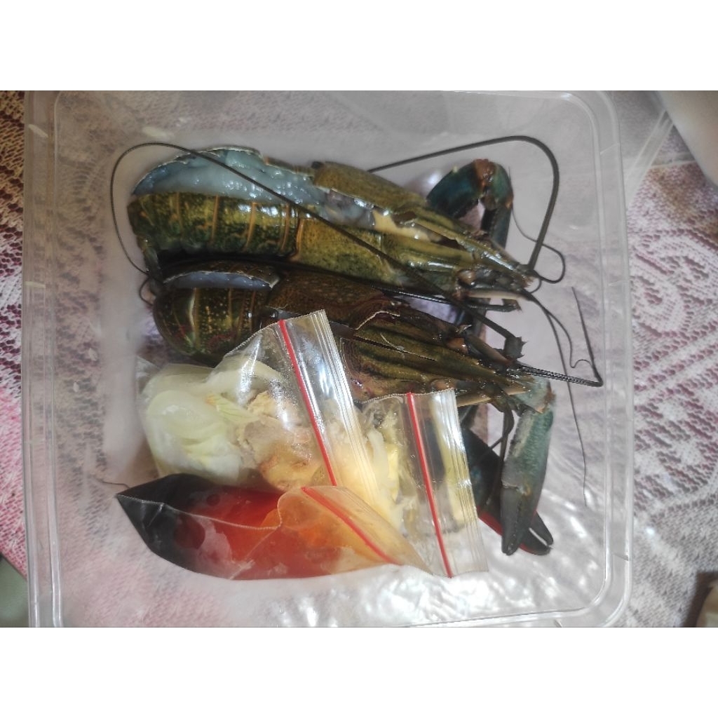 

Lobster Air Tawar Jumbo Siap Masak Bumbu Saos Padang