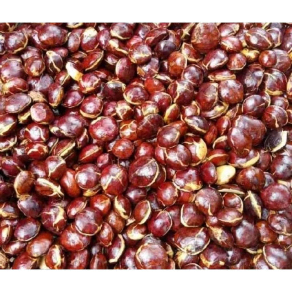 

JENGKOL SEPI SUPER 1KG