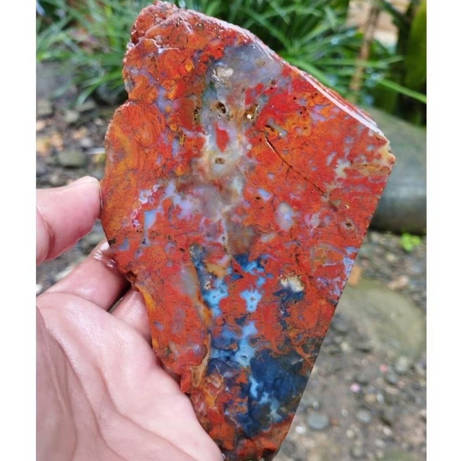 suiseki batu alam bahan batu akik lempengan panca warna kembang multi natural super istimewa asli  K