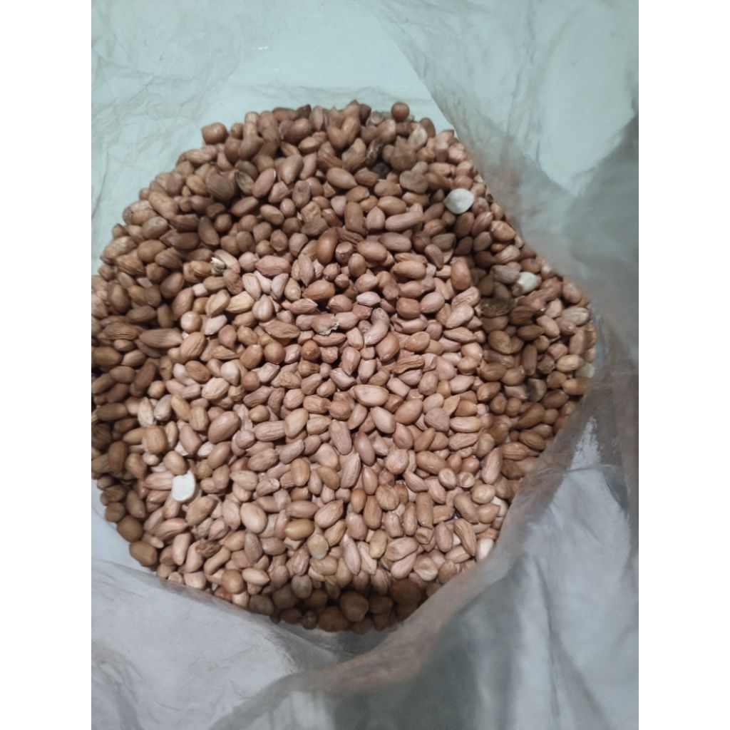 

kacang tanah 250g,500g,1kg