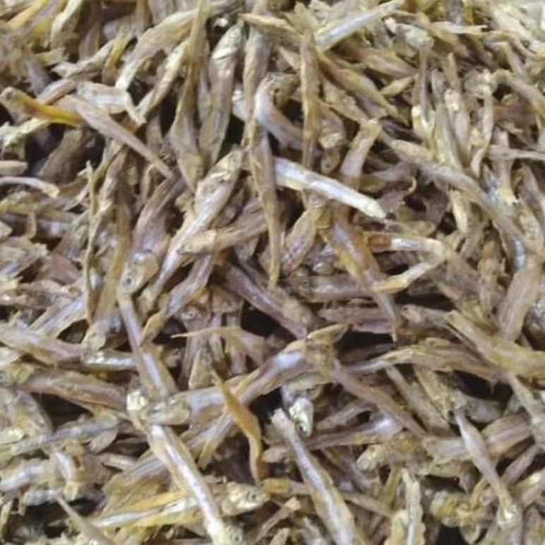 

Ikan teri kering murah