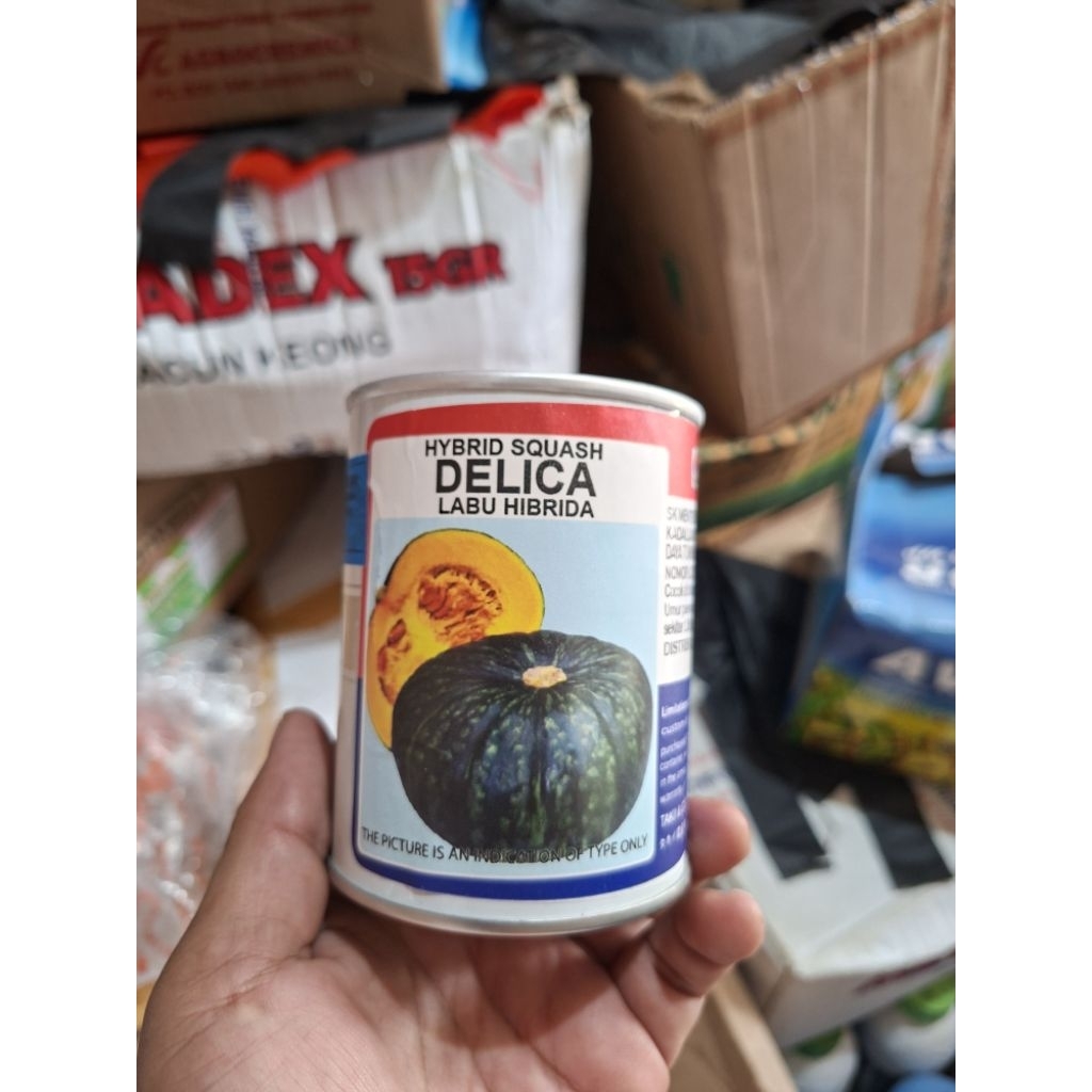 

Kaboca/Labu hybrid DELICA TAKII / 100 gr