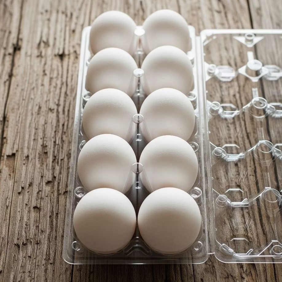 

Telur Ayam Arab 10 Butir (paket hemat)