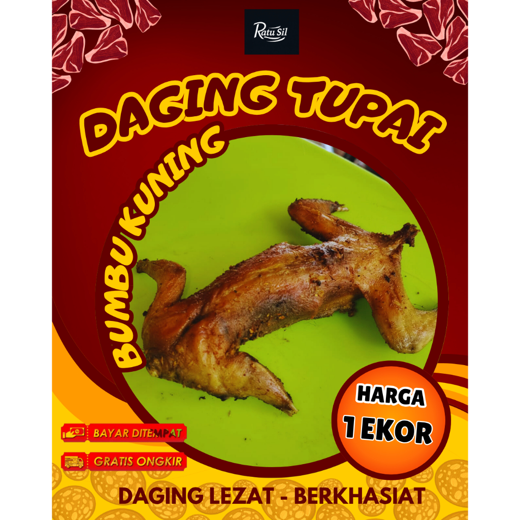 

1 EKOR DAGING BAJING KELAPA / TUPAI KELAPA GORENG FRESH DARI ALAM BERKHASIAT