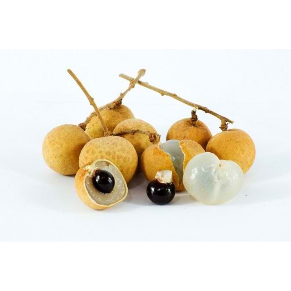 

Buah Kelengkeng segar Sembako murah makassar