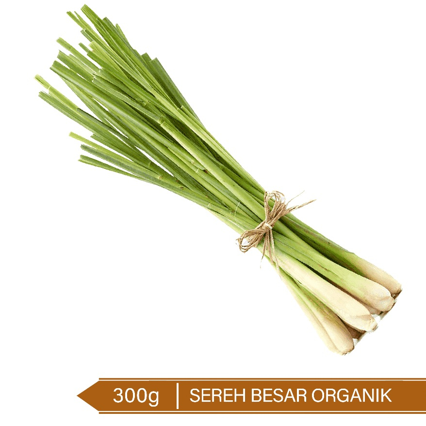 

Sereh Besar Organik / Organic Lemongrass 300g