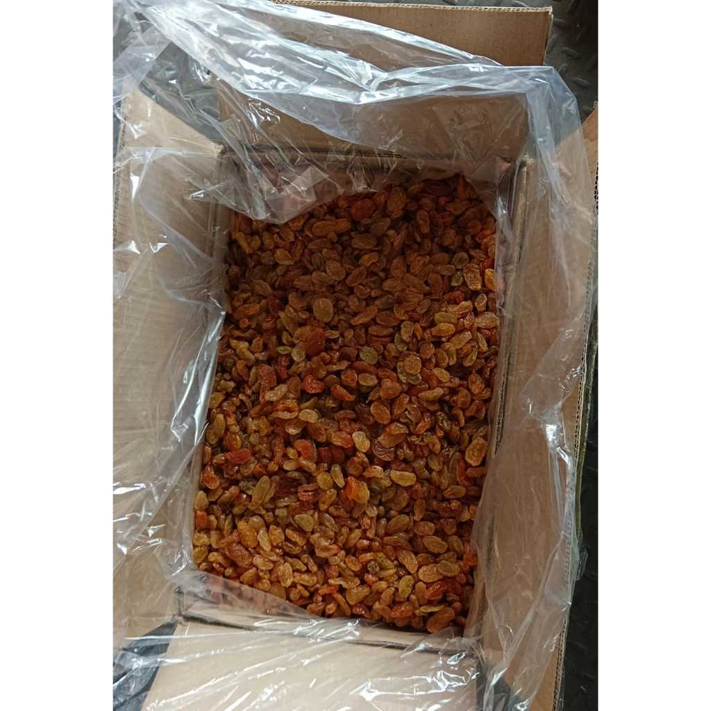 

Kismis Golden King Asam Manis (500 Gram)