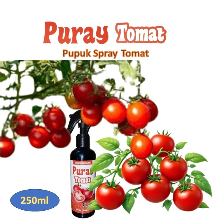 Pupuk tomat / pupuk tanaman / pupuk tanaman tomat / boster tomat / booster tomat buah / pupuk sayur