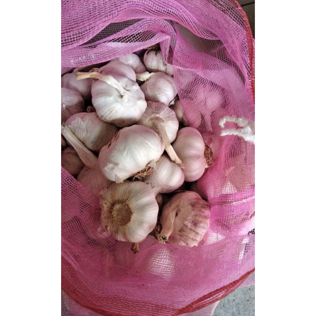 

bawang putih 10 kg sinco import