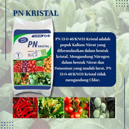 

Pupuk PN kristal 1kg pak tani KNO3 putih