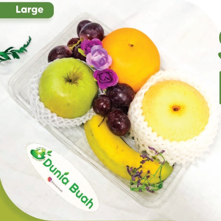 

Snack Bag/Snack Plate/Snack Box/Snack Gift/Snack Clear Dunia Buah