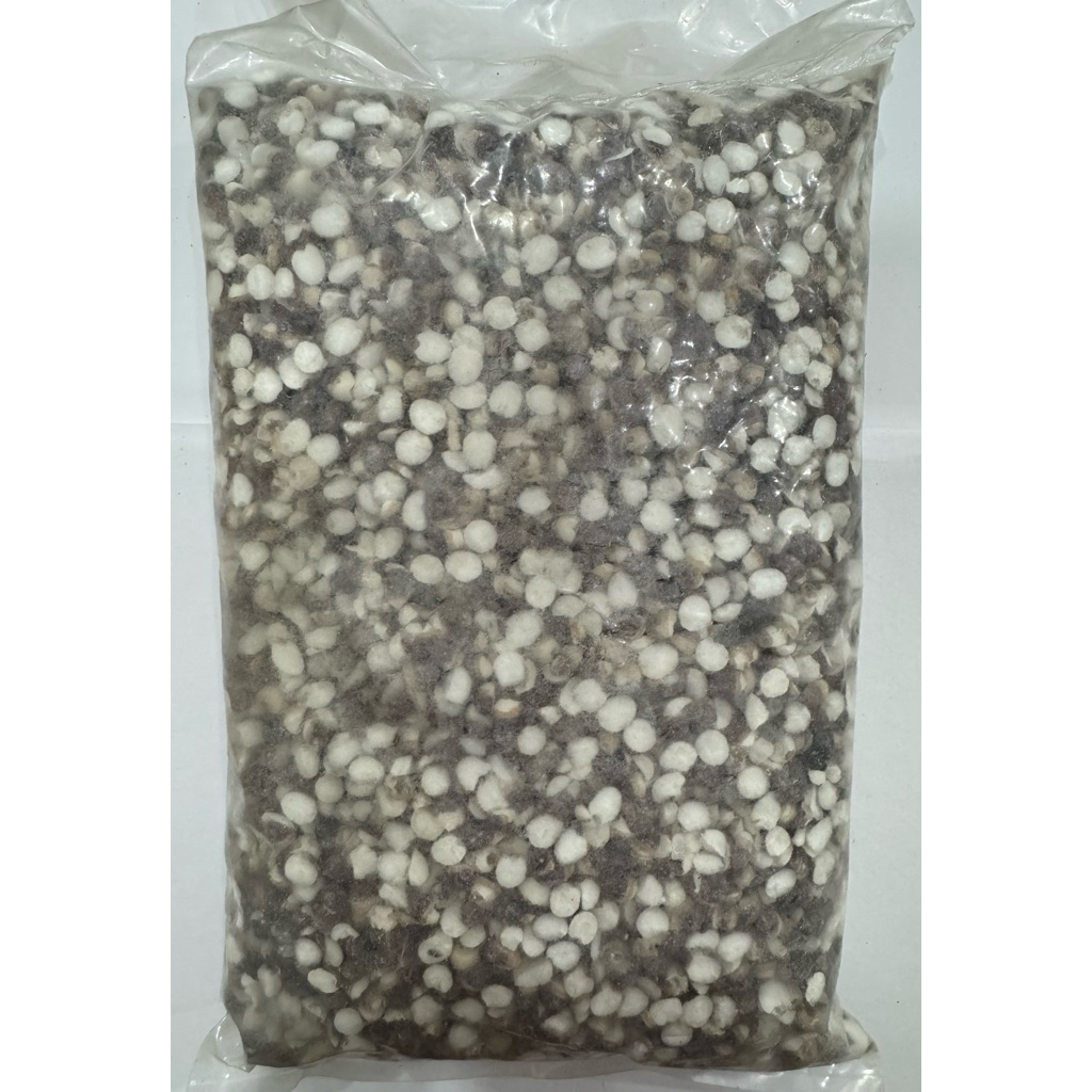 

600g PREMIUM Qian Shi / Euryale Seed / Fox Nut / Kiansep - Pencernaan