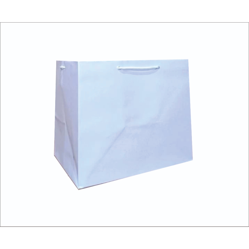 

Paper bag kotak nasi 25x25x25 sablon custom