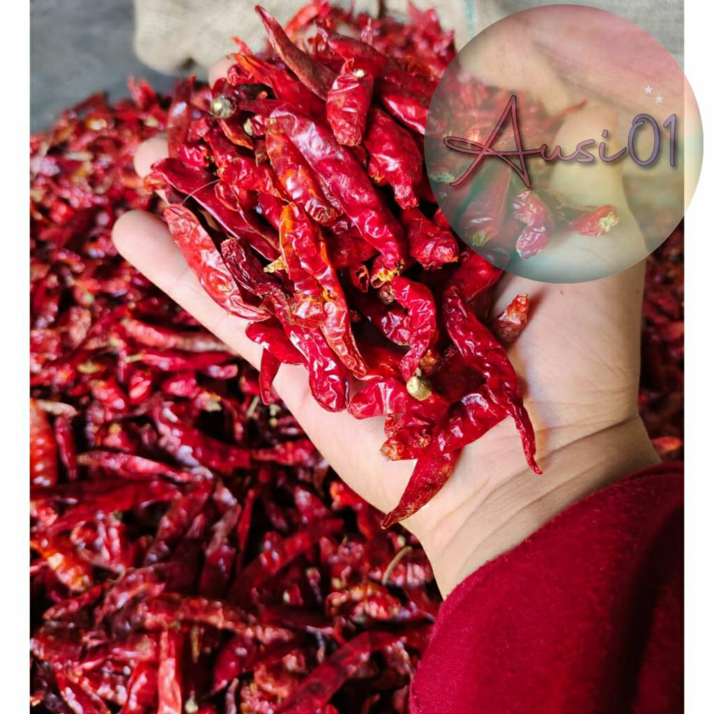 

CABE KERING PEDAS TEJA ASLI IMPOR CABE INDIA SUPER PEDAS CABE MERAH