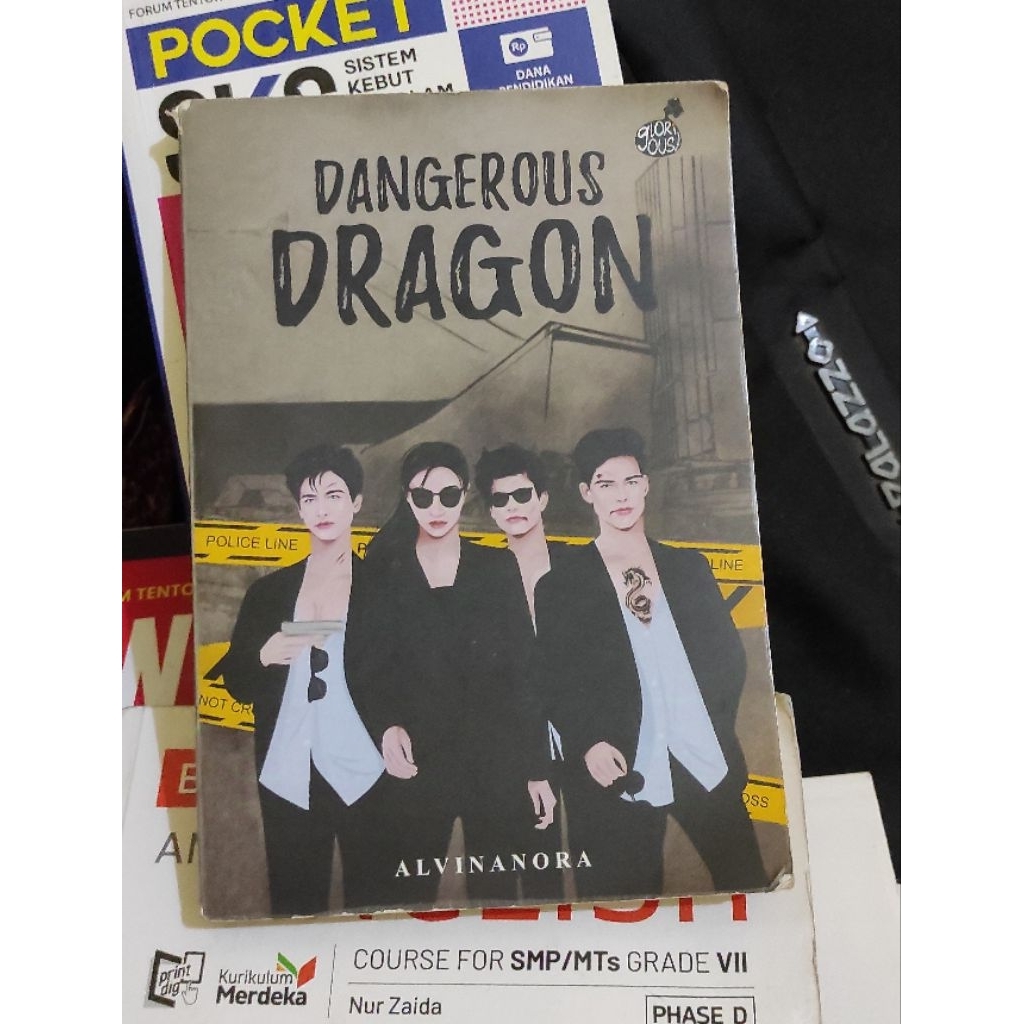 Novel Dangerous Dragon
