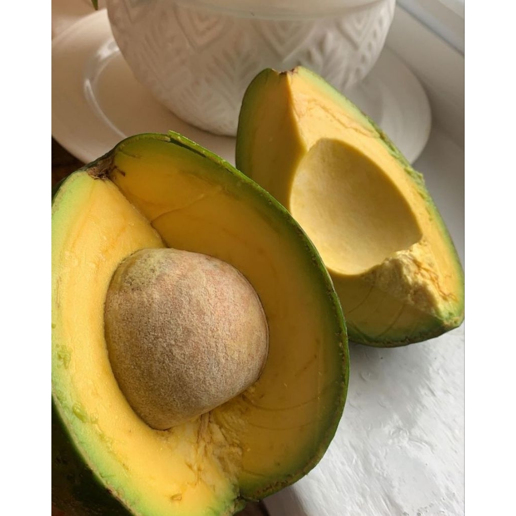 

PROMOOOOO...Alpukat mentega premium isi 4 5 6 7 ( COD GARANSI )