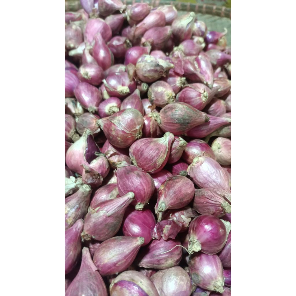 

bawangmerah 250 gram