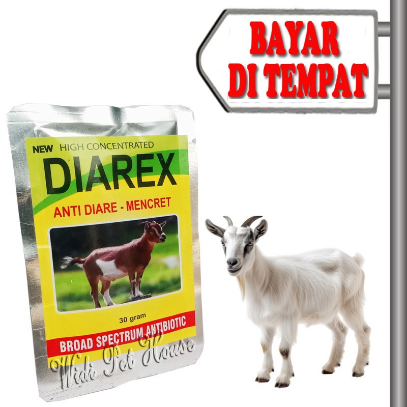 Obat Diare Mencret Kembung Domba Kambing Diarex Hewan Ternak
