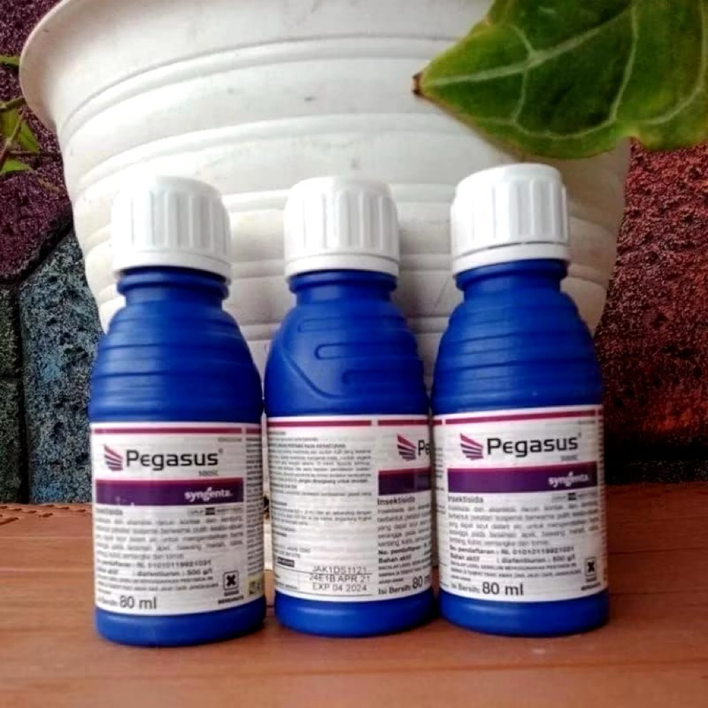 Insektisida pegasus 80ml