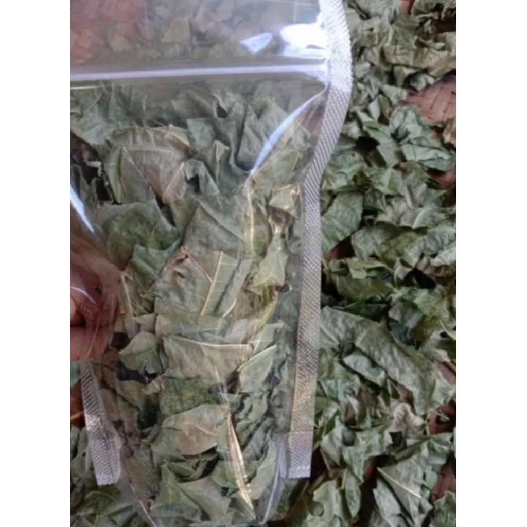 

Daun Dadap kering terbaik per 200gram