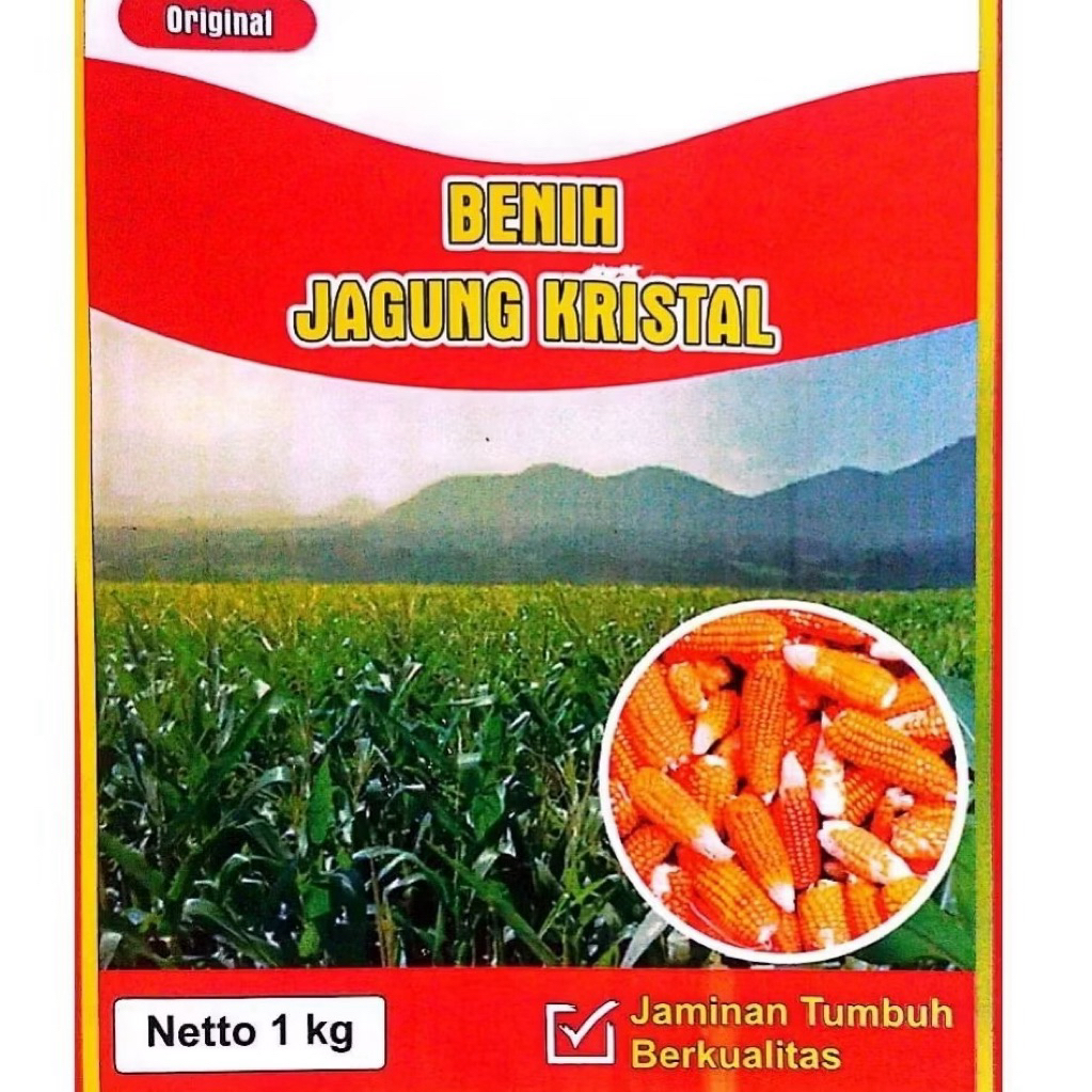 

Benih jagung Unyil/kristal super 1kg