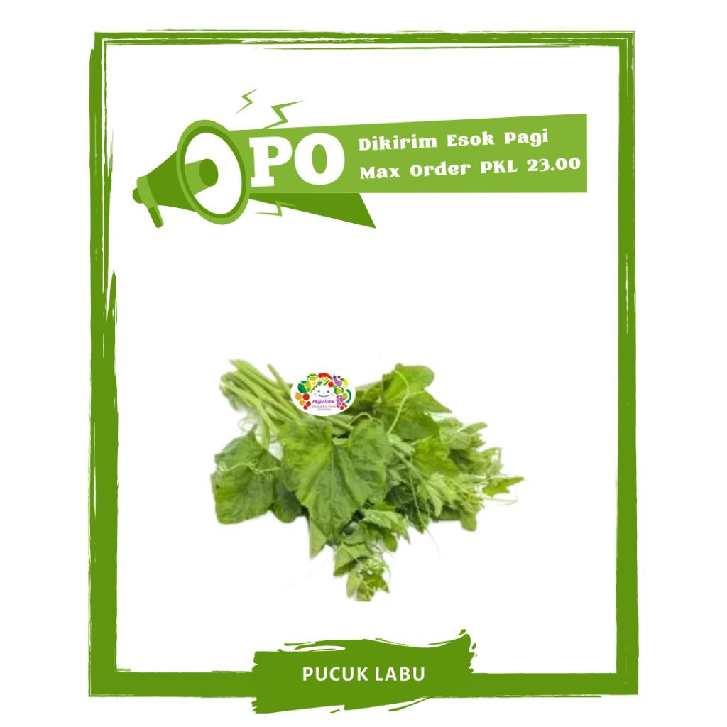 

Daun Pucuk Labu / Sayur Sayuran Segar PO Mallahrizwa