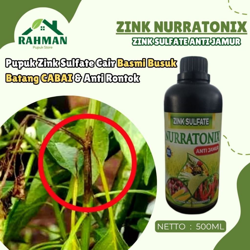 OBAT SEMPROT ANTI BUSUK BATANG CABE TERBAIK - ZINK NURRATONIX 500ML Atasi Masalah Rontok dan Busuk B
