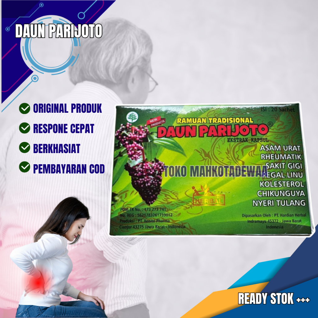 

Daun Parijoto Kapsul 100% Ori