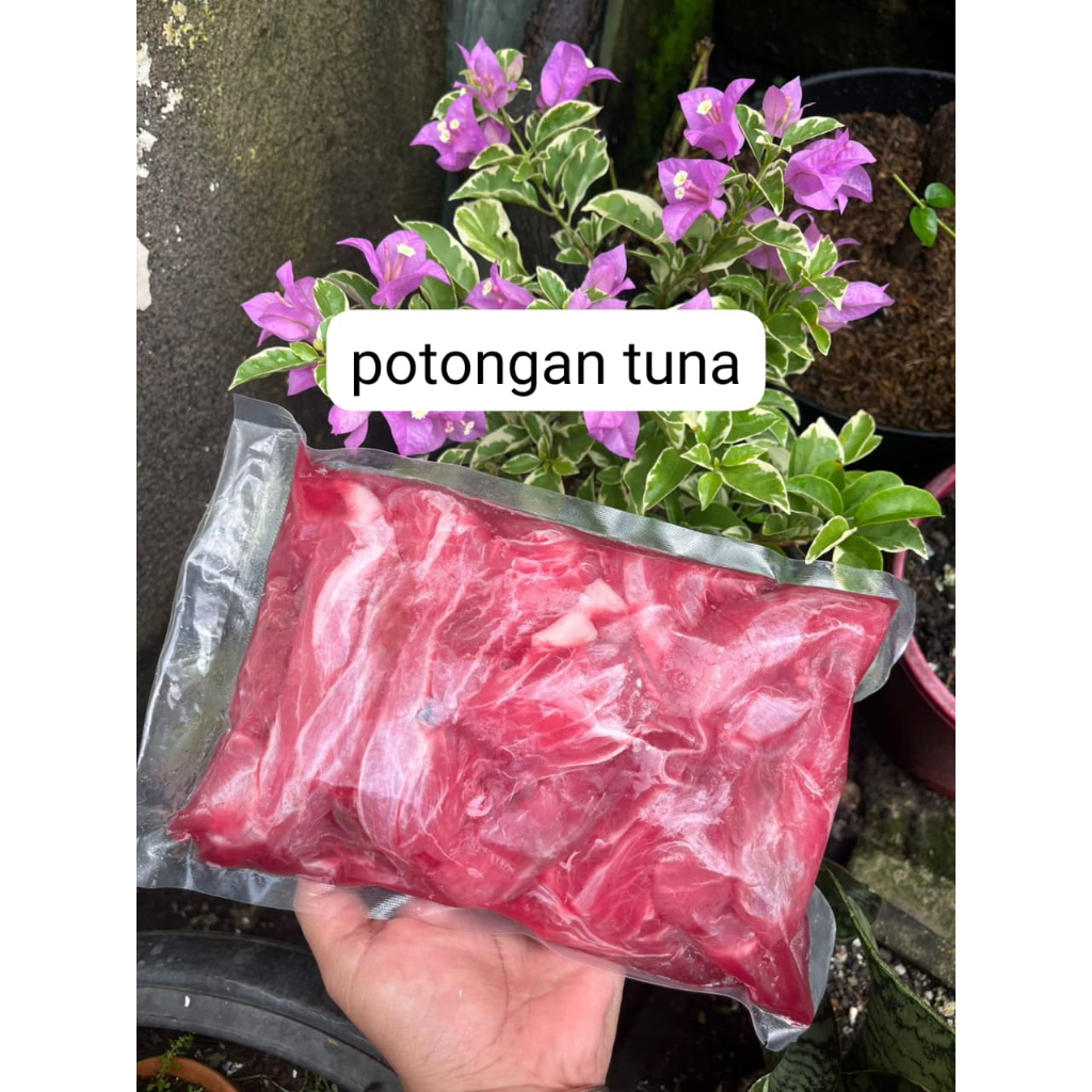 

Daging Ikan Tuna Fillet (Tetelan Tuna) 1kg Tanpa Tulang Harga Murah Pengiriman Cepat