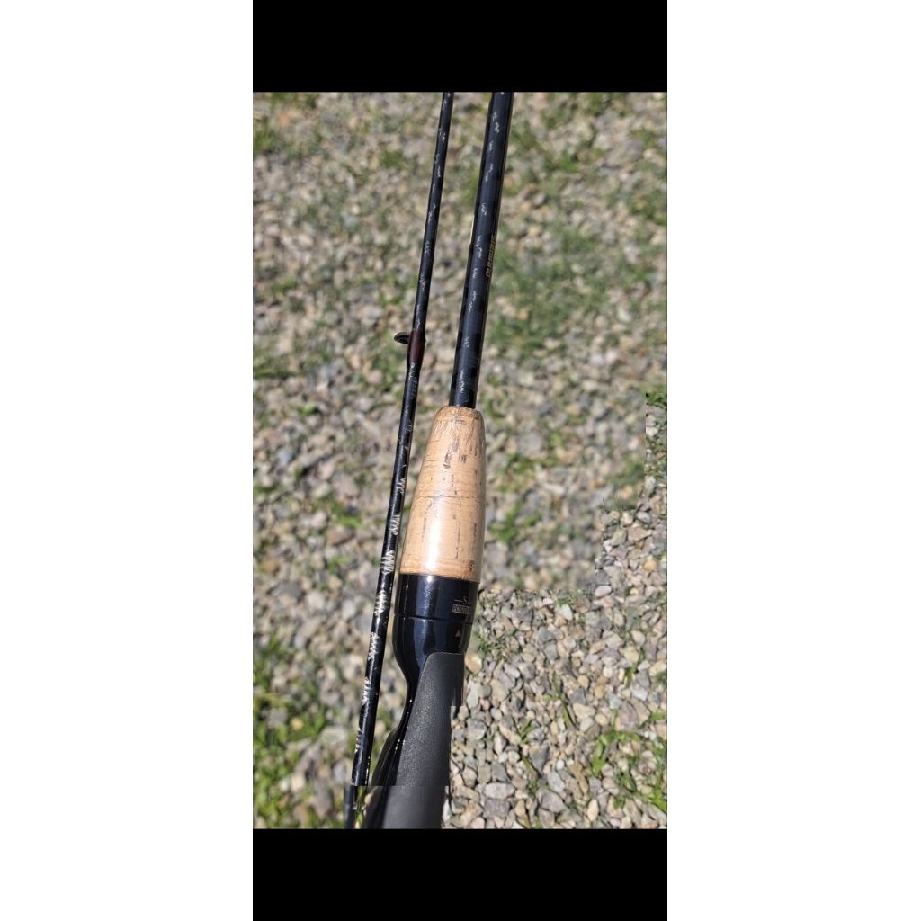 joran scorpion ev custom P183 Cm Lb 6-14