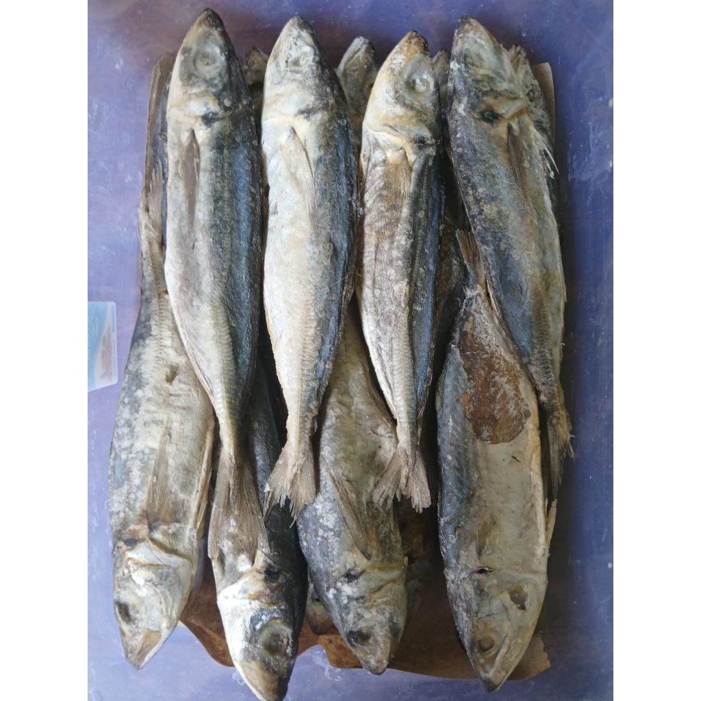 

Ikan Asin Peda Layang