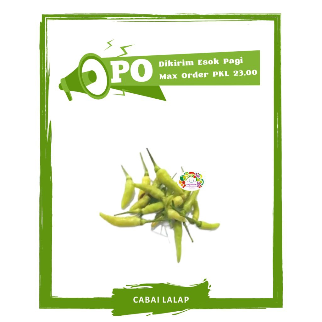 

Cabai / Cabe Hijau Lalap / Sayur Sayuran Segar PO Mallahrizwa