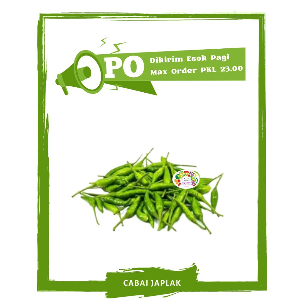 

Cabai / Cabe Hijau Japlak / Sayur Sayuran Segar PO Mallahrizwa