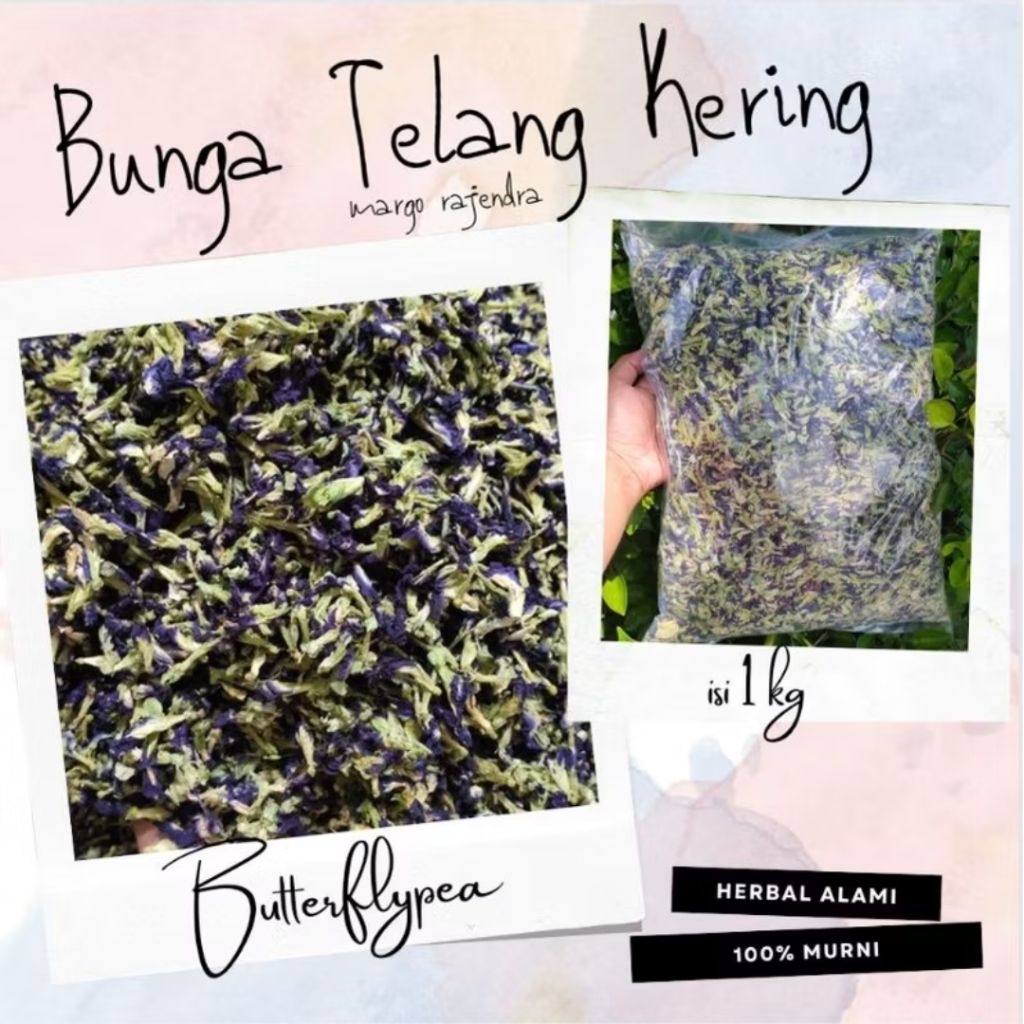 

Bunga Telang Kering 1kg Teh Bunga Telang