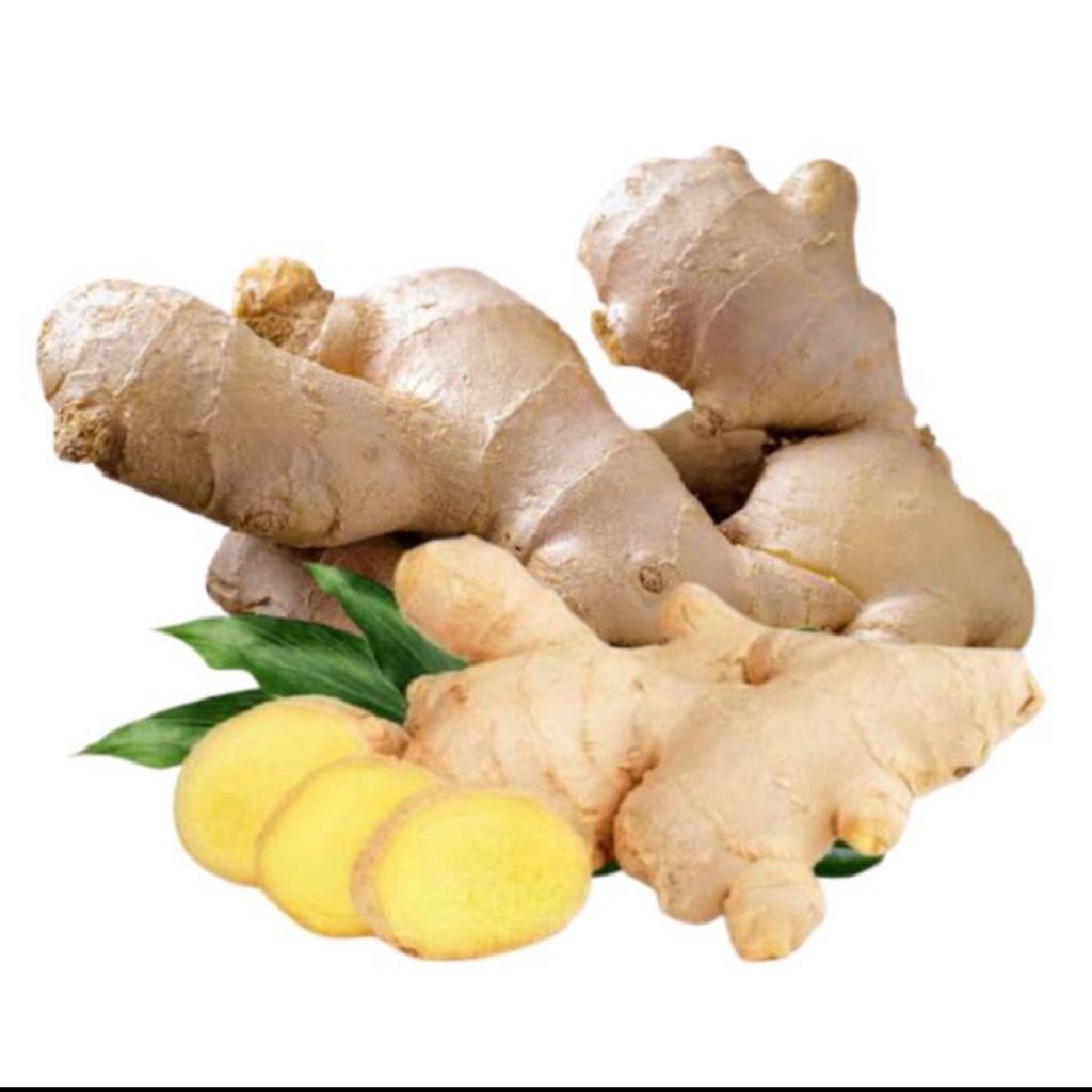 

Jahe Putih / Jahe Gajah 500 gr