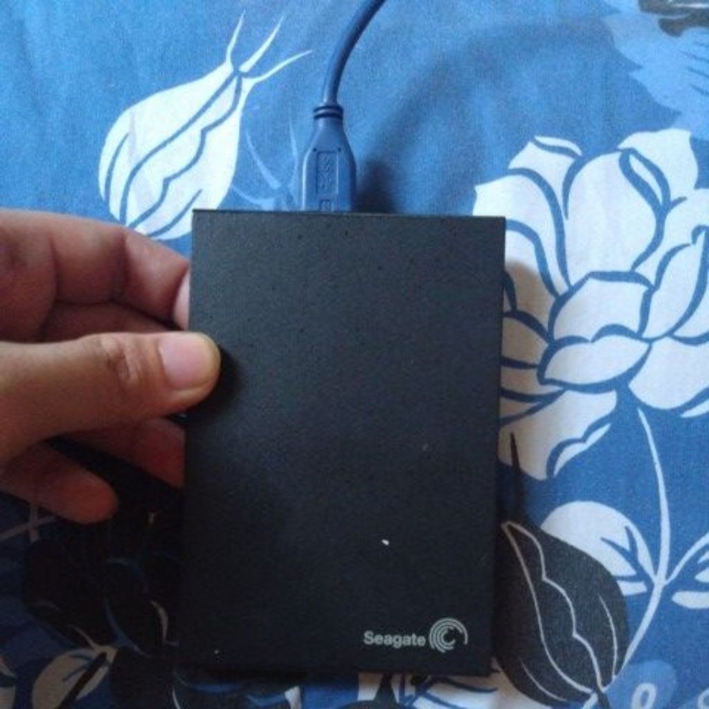 hardisk Seagate 2TB