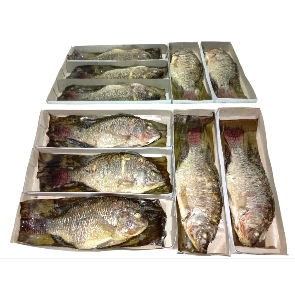 

Presto ikan mujair / nila segar beku