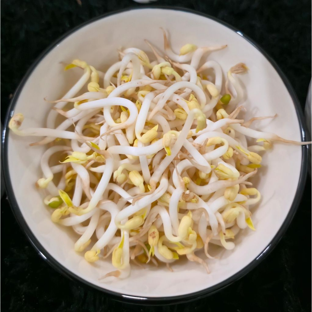 

Toge 500 gr / Touge Fresh Manis Putih Gemuk