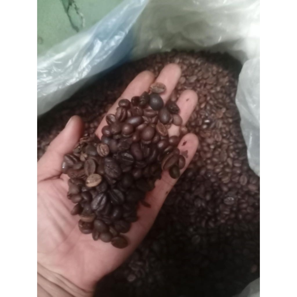 

biji kopi robusta