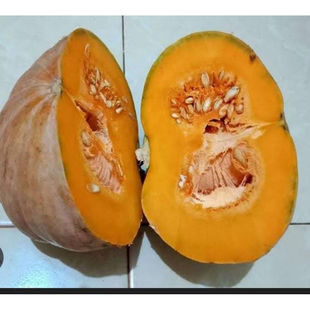 

Labu kualitas terbaik per 3kg1 buah